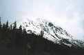 Mountainview 5